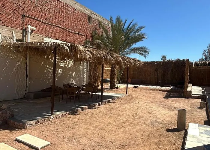 The Palm Circle - - 2 *